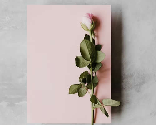 婚姻调解：离婚和平协商