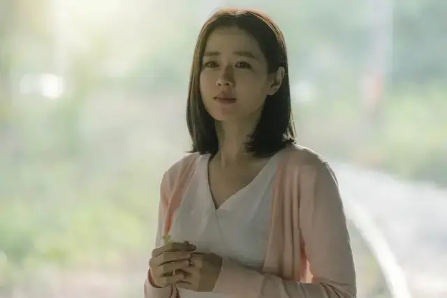 《离婚冷静期手册》NO.23丨离婚为什么要体面？这是我见过的最好答案-挽忆情感