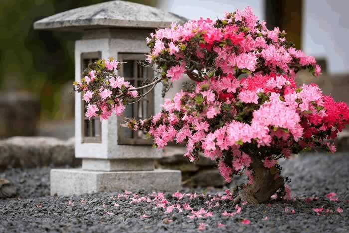 一个女人真正死心的表现：不哭不闹，不闻不问-挽忆情感