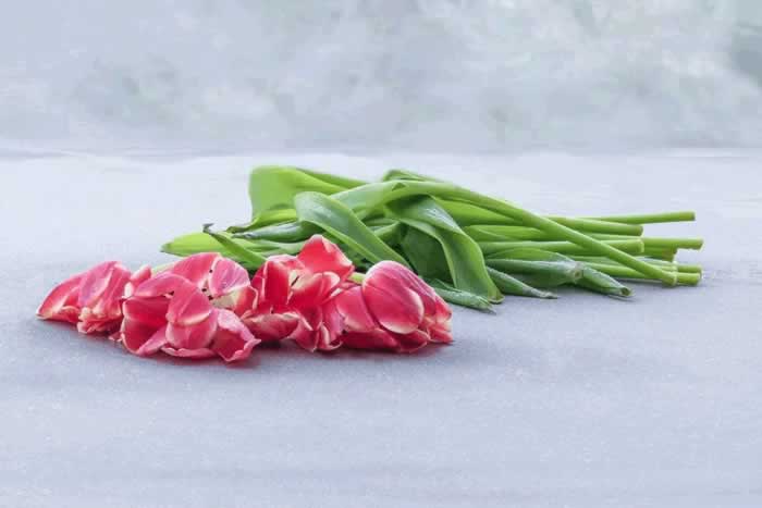 真正幸福的女人，大多看清了这3个婚姻真相，难怪生活越来越好_嘉待情感