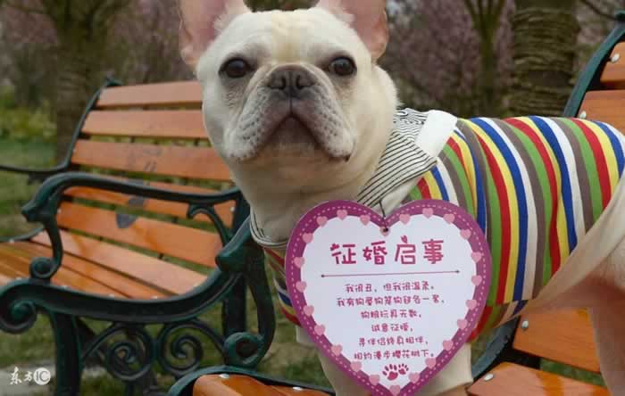 发个朋友圈也能撩人？看看挽回大师怎么指导朋友圈建设-挽忆情感